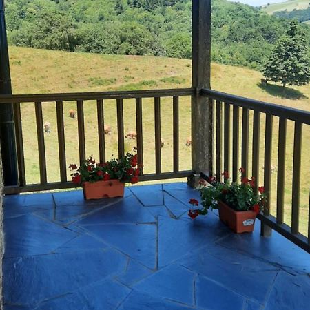 Casa Viduedo Villa Santa Eulalia de Oscos Ngoại thất bức ảnh